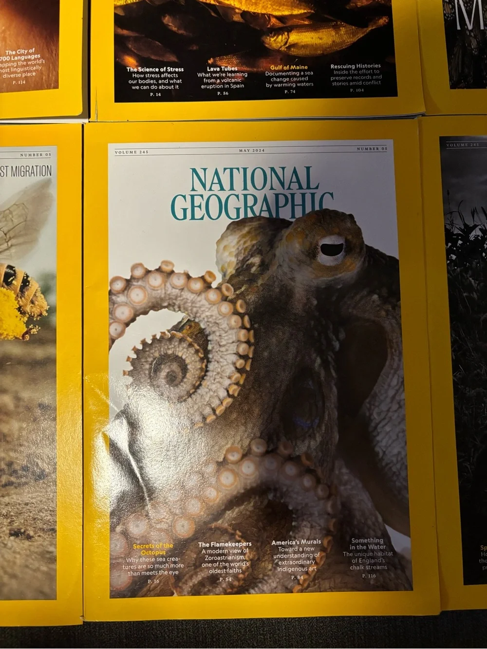 National Geographic Magazine Lot - 8 issues with animal themes